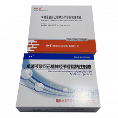 Ганглиозид моносиаловый GM1 ампулы 20мг 2мл №5